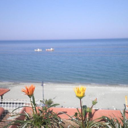 Anastasia Apartments Λεπτοκαρυά Εξωτερικό φωτογραφία