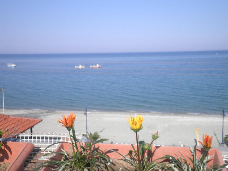 Anastasia Apartments Λεπτοκαρυά Εξωτερικό φωτογραφία
